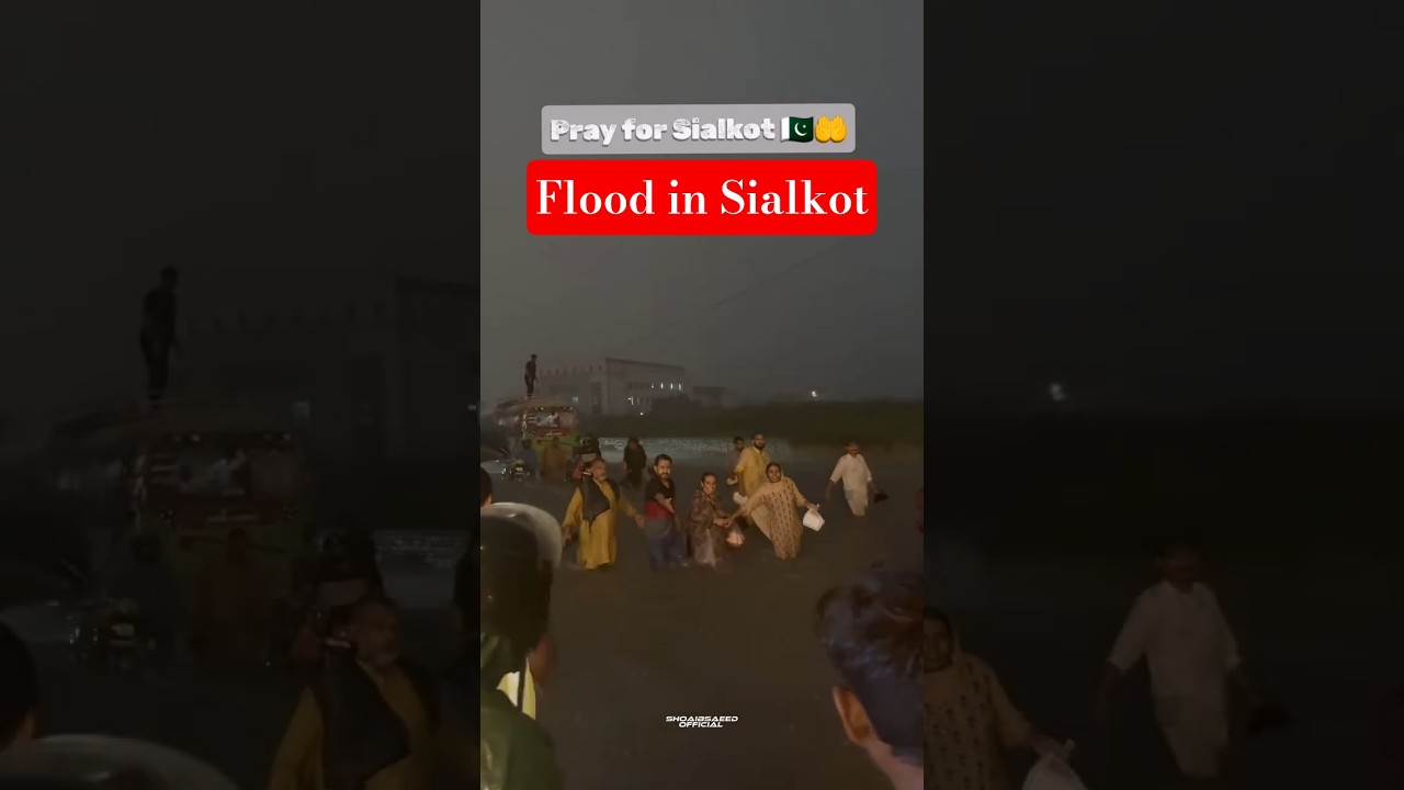 Flood & Heavy Rain in Sialkot | Pakistan Flood Update August 2025 #punjabfloods #floodinpakistan