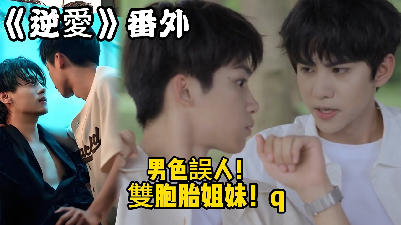 《逆愛》：番外！（97）男色誤人！雙胞胎姐妹！#田栩宁 #梓渝 #吴所畏 #池骋 #逆爱 #revenged