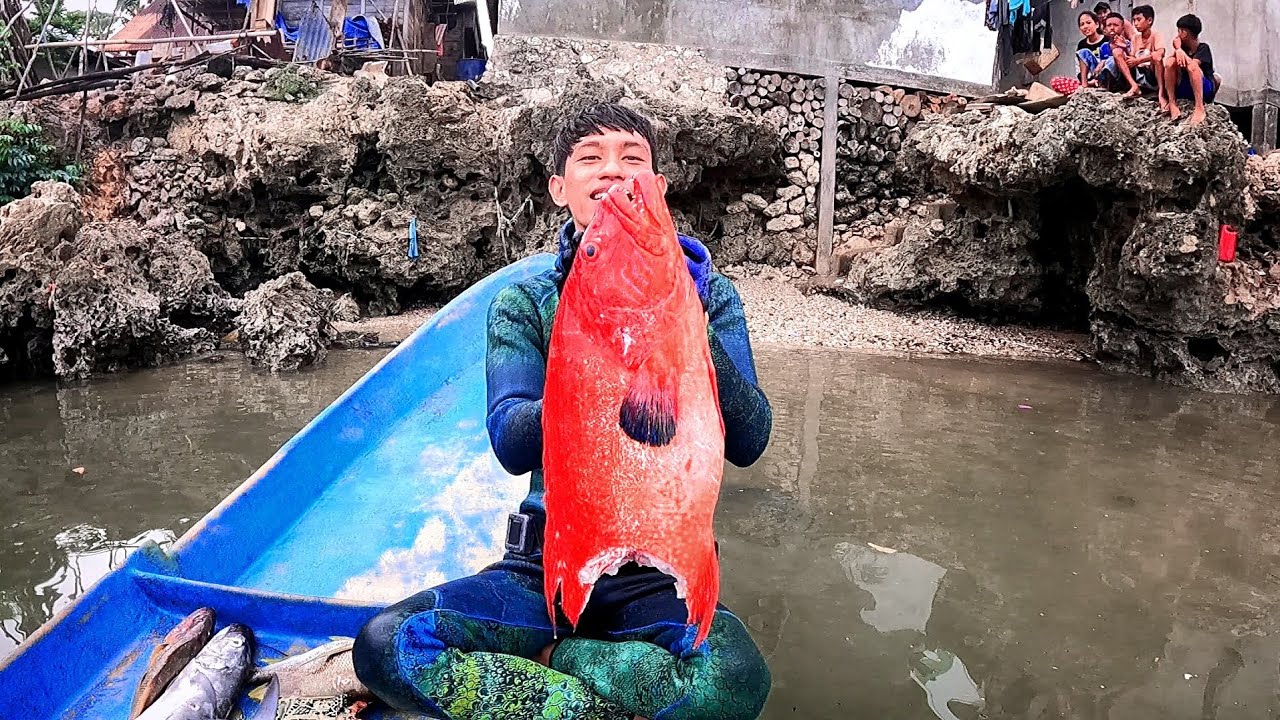 This large sunu fish has been eaten by a giant eel || Spearfishing Indonesia