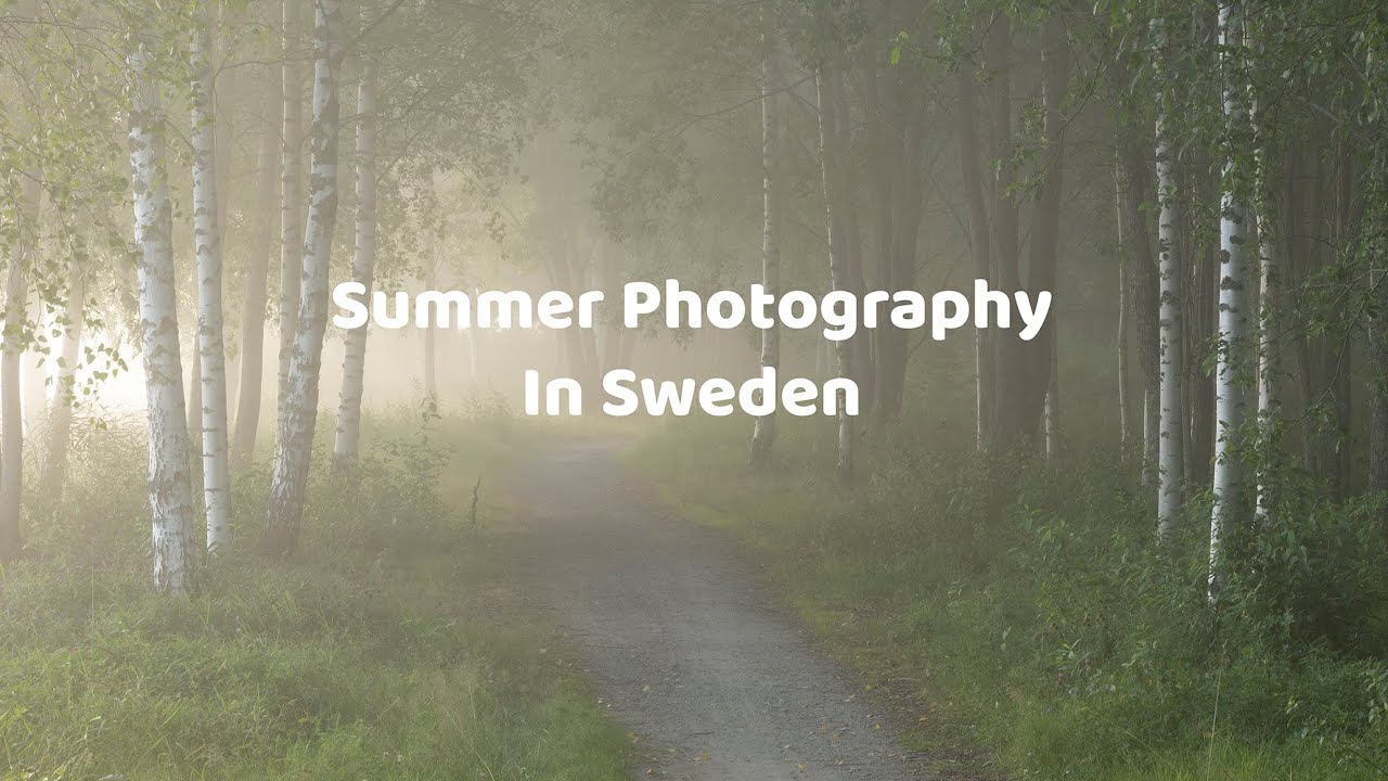 Summer Photography in Sweden | Nikon Z8