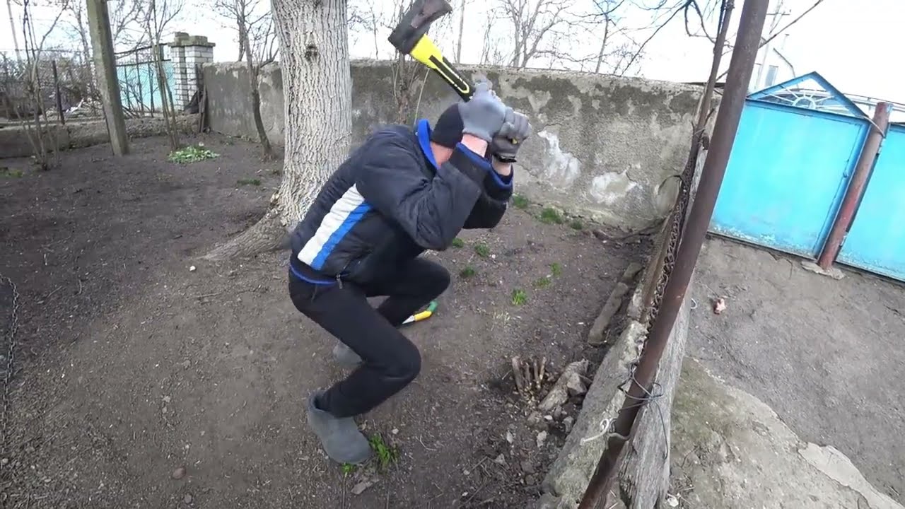Жук в шоке! Что вы творите!
