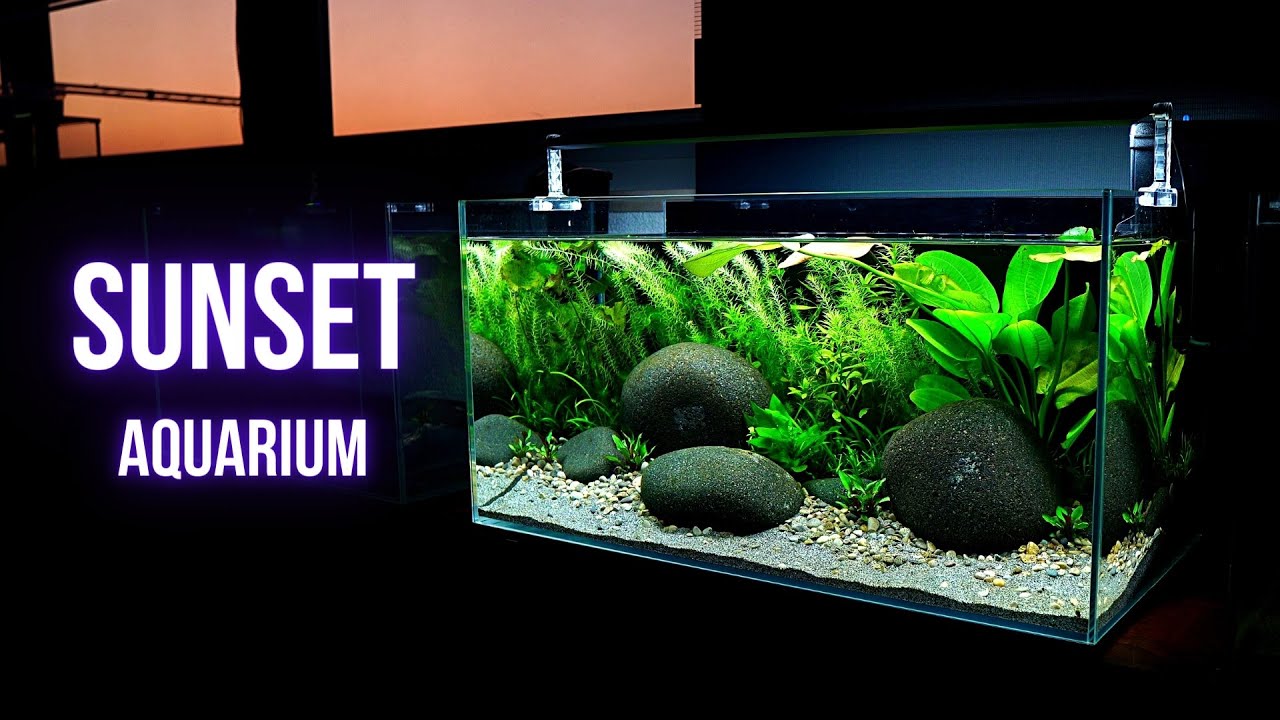 Step by step PLANTED AQUARIUM setup | Aquascaping LOW TECH NANO AQUARIUM | EP1