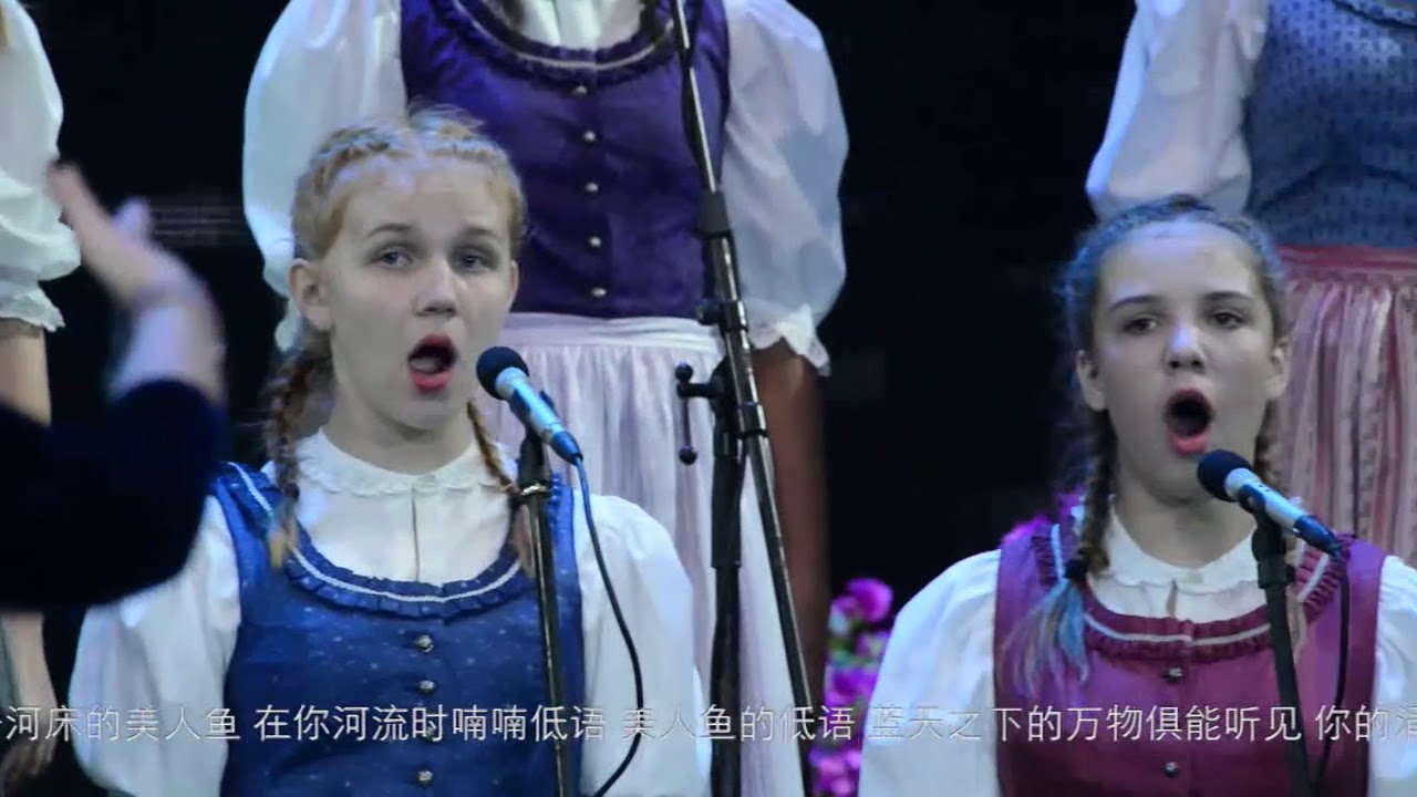 An der sch&ouml;nen blauen Donau - Gumpoldskirchner Spatzen, China 2017