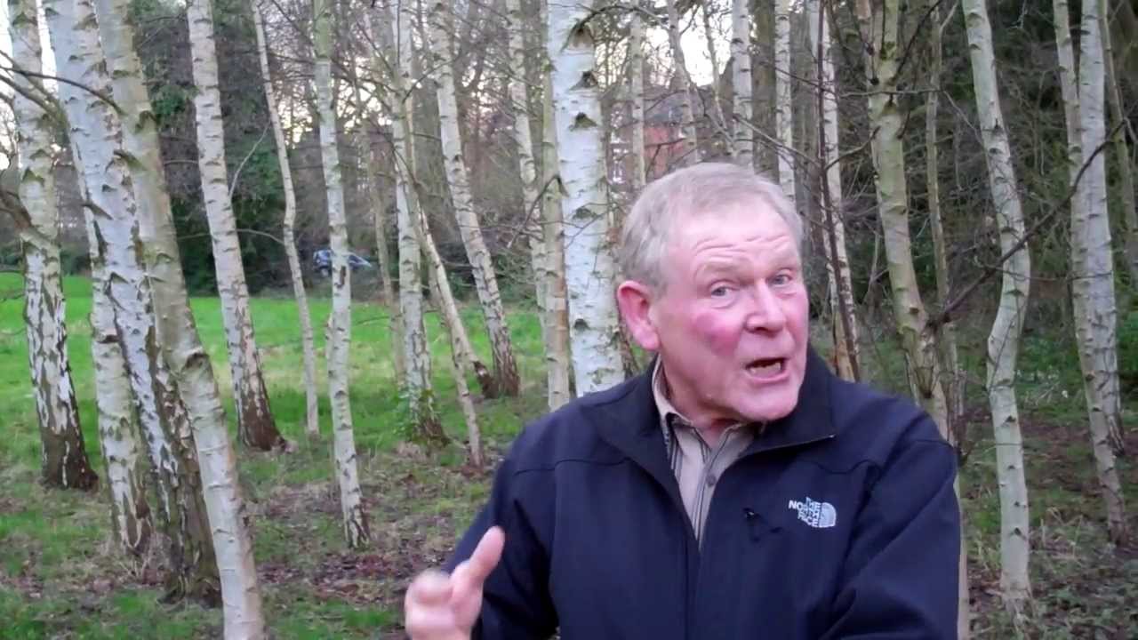 Flooding: Working with nature, not against it