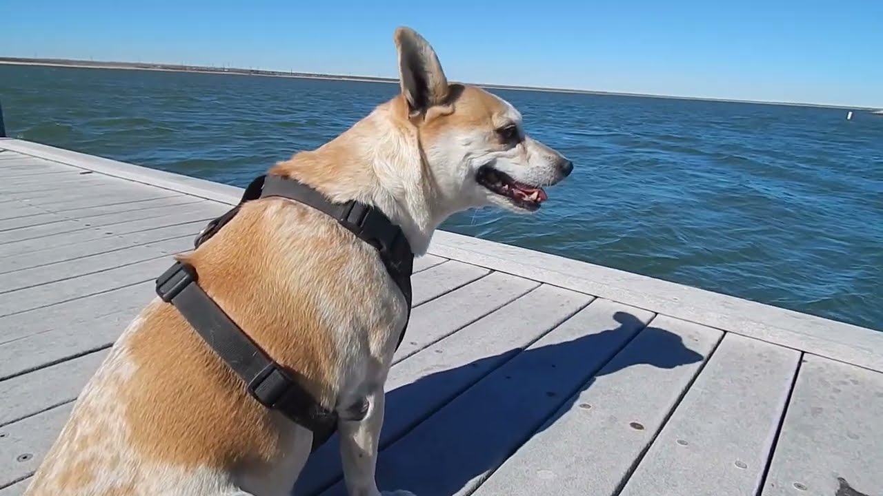 Brantley Lake (Jan. 2026)