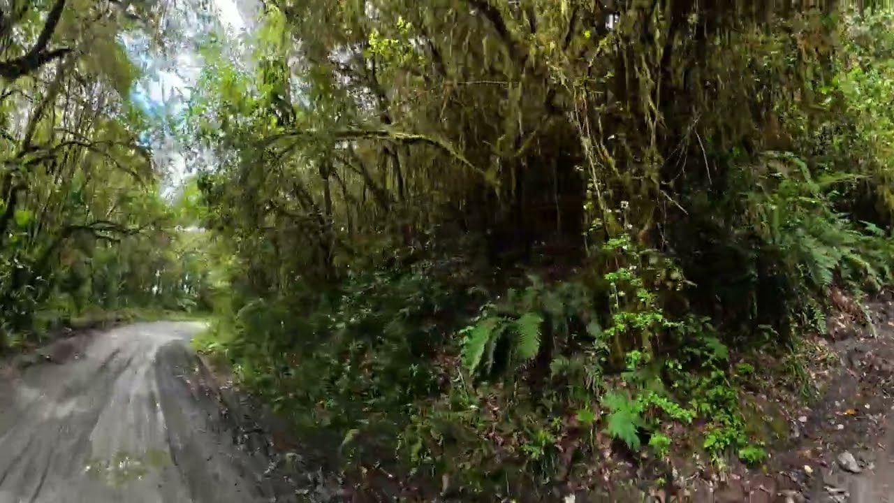 Ruta épica en MTB: Alto de La Línea a Salento (trocha completa)