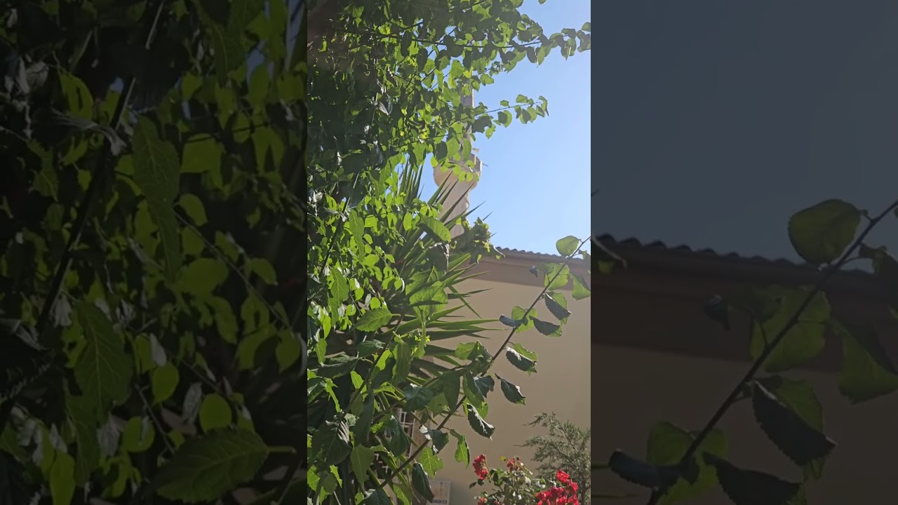 İkindi Ezanı, Nikriz çeşnili Basit Sûzinak, 28.05.2024, Kartal Merkez Camii