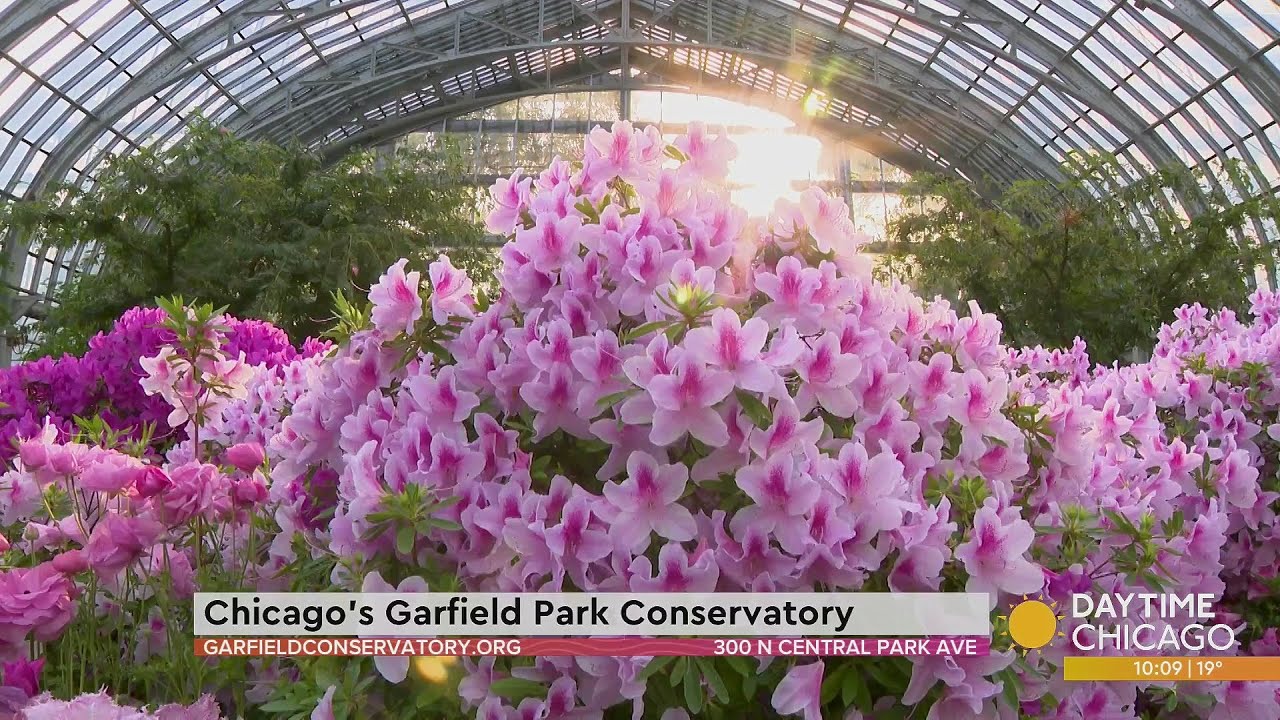 Chicago's Garfield Park Conservatory