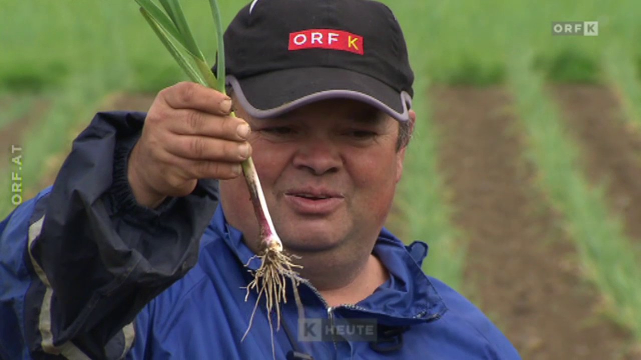 ORF Kärnten heute Gartenzentrum für Biogemüse
