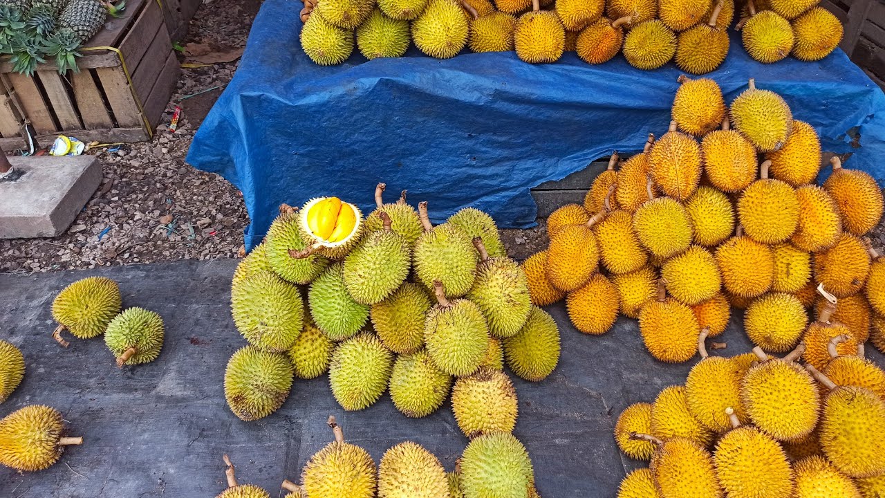 Buah Mantuala Kalimantan Di Lapak Pasar Buah Kelua