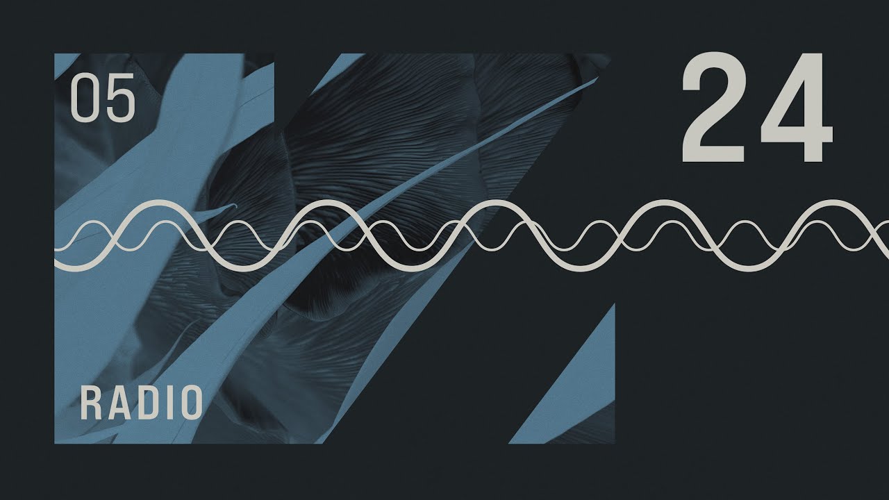 VISION Radio S05E24 // New ring noord, Thys, Moore Kismet, Rohaan and more...!