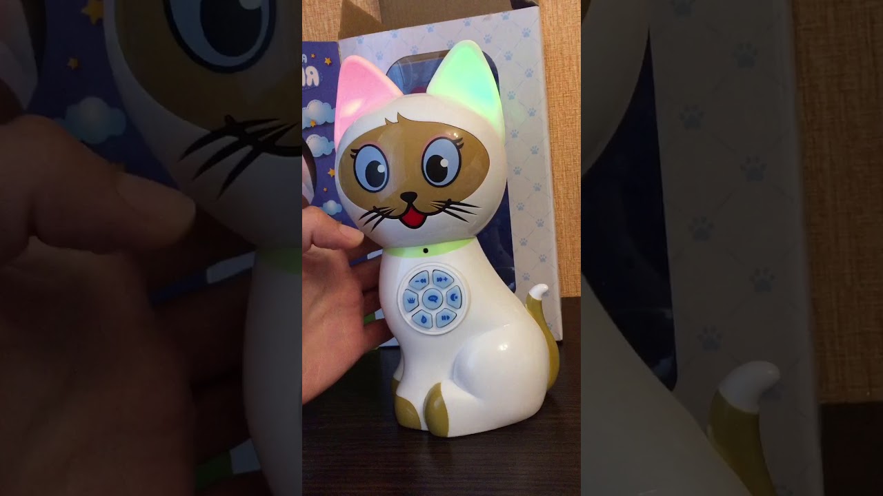 Интерактивная игрушка Кошка Соня и нюансы с usb флешкой