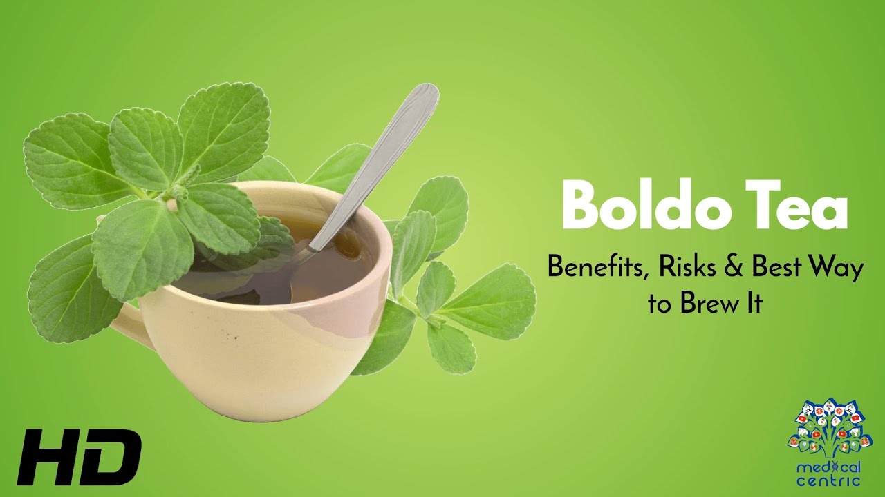 Boldo Tea : Benefits, Risks & Best Way to Brew It