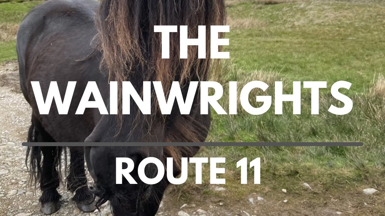 Bagging the Wainwrights | Route 11 | Book 1 - The Eastern Fells
