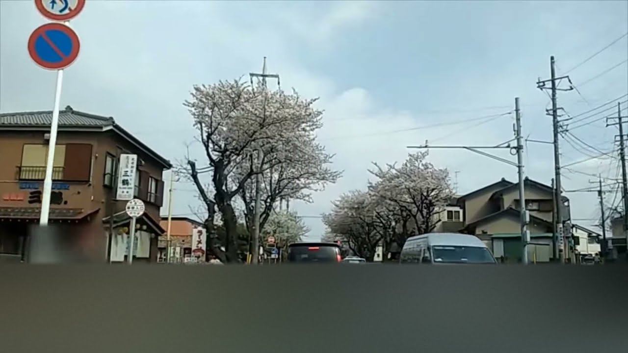 八千代お散歩動画 #07　新川大橋通りの桜（車窓前面展望）