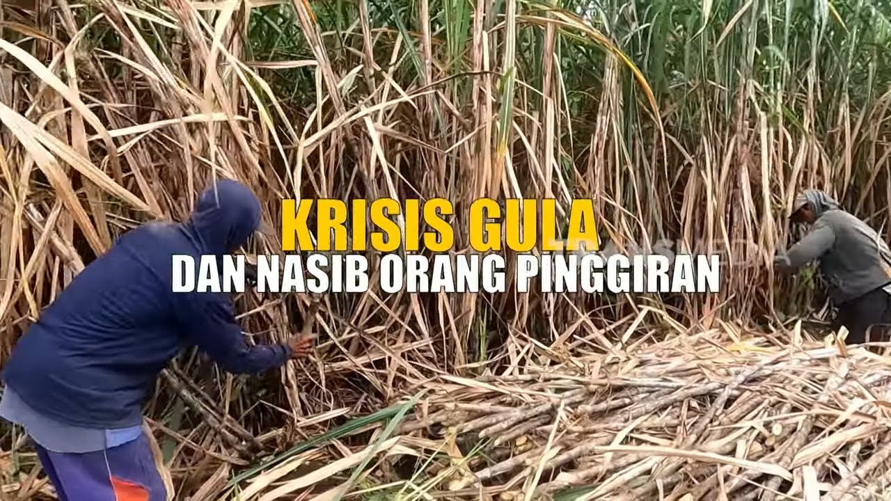 KRISIS GULA DAN NASIB ORANG PINGGIRAN | INDONESIAKU (01/07/25) Part 1