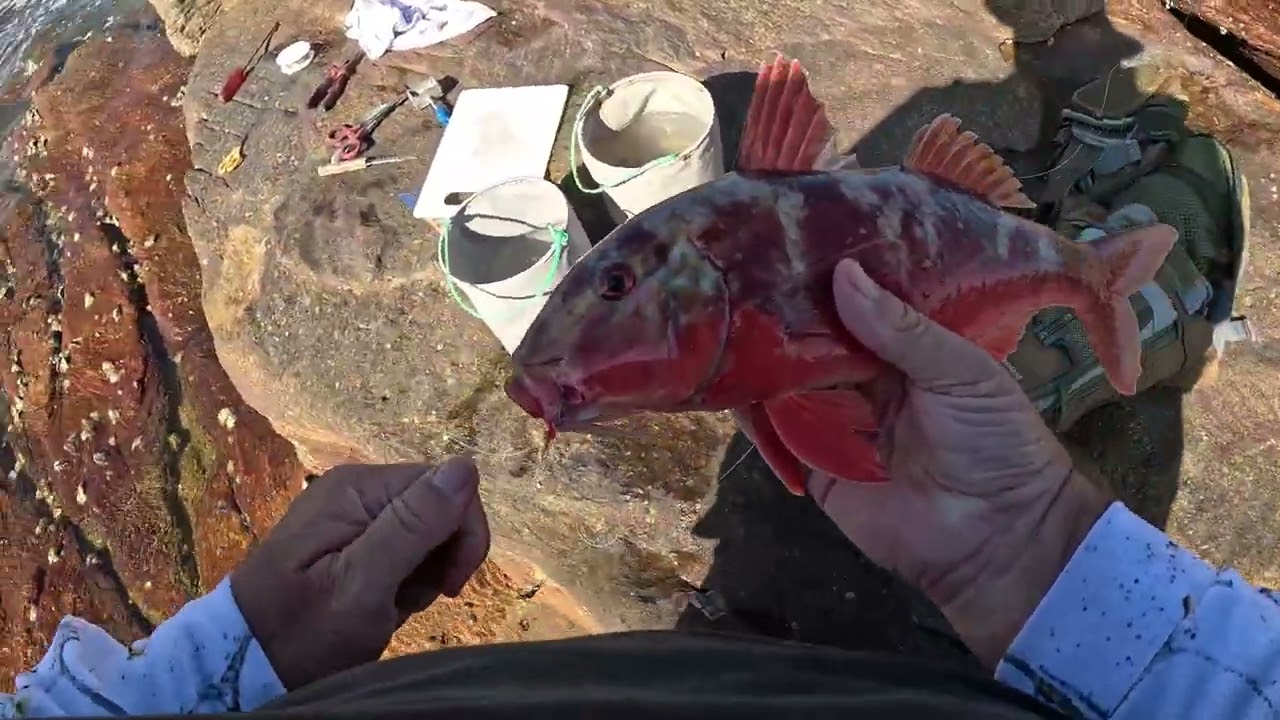 Рыбалка в Увонго 030126