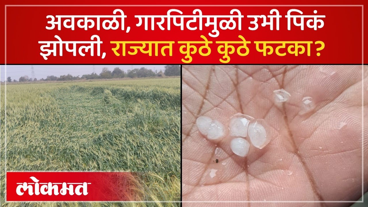 Maharashtra Weather Updates: राज्यात अनेक भागात गारपीट, अवकाळीनं कुठं कुठं हैदोस घातला? SK3
