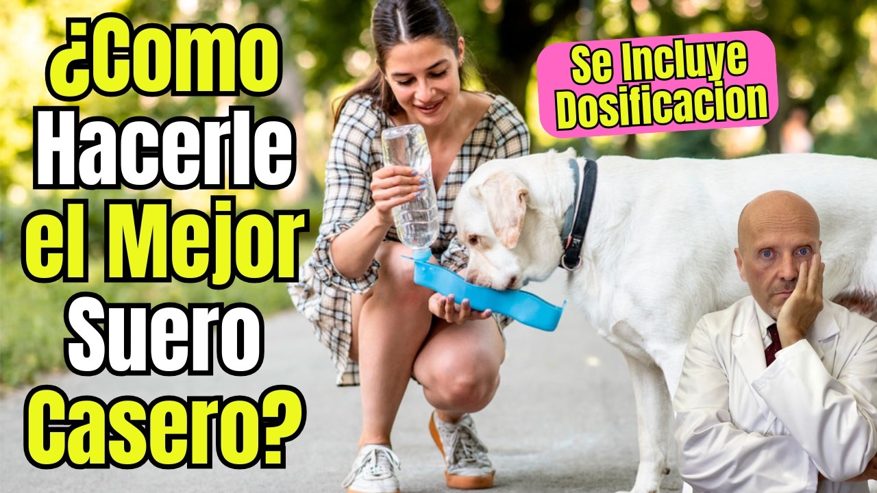 🐶💧 ¿COMO HACER Y A QUE DOSIS DAR EL MEJOR SUERO CASERO PARA PERROS CON VOMITOS Y DIARREA? 🐶💧