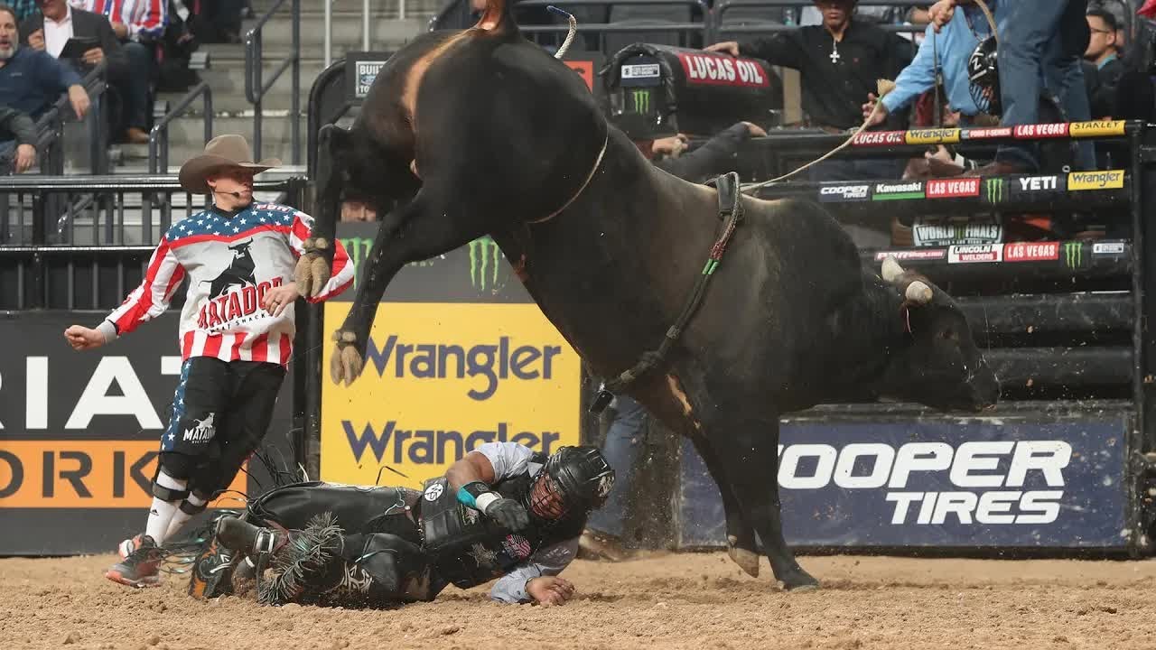 Top Five Bulls in The World 🌎Top 5 Outs | 2019