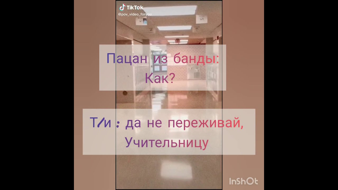 Pov: