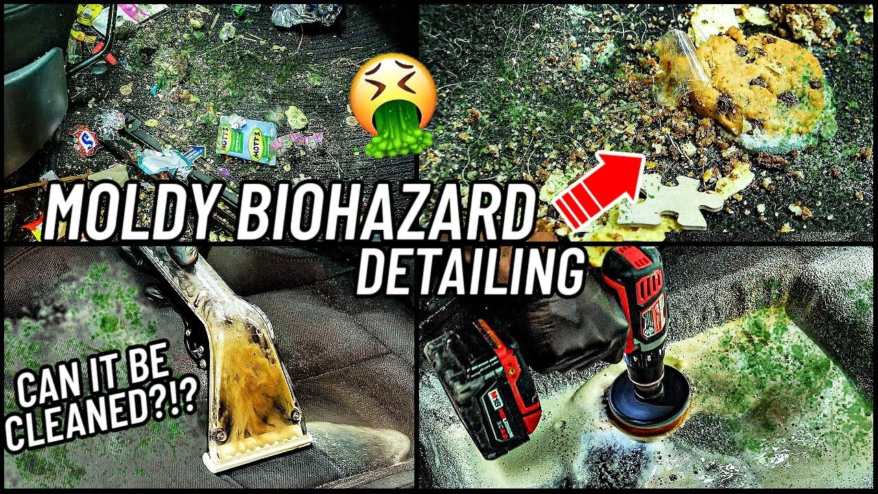 Можно ли очистить? MOLDY Biohazard Car Detailing Restoration - Глубокая очистка