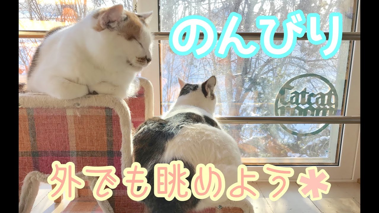 新年になったー