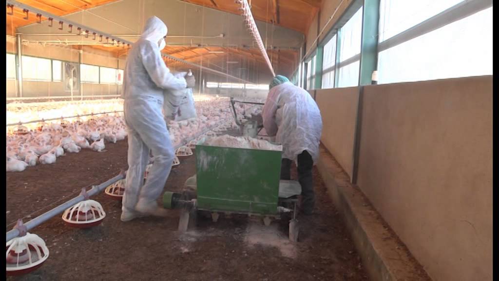 Removedor para cama de pollos.