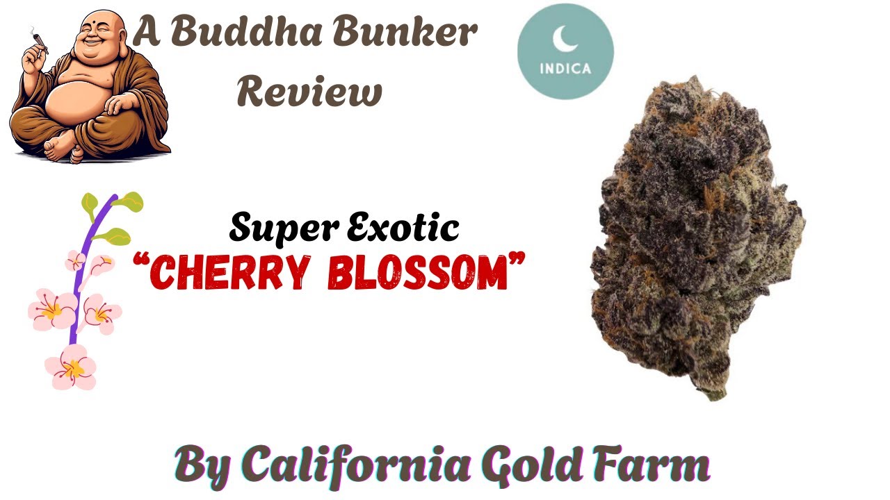 California Gold Farm 