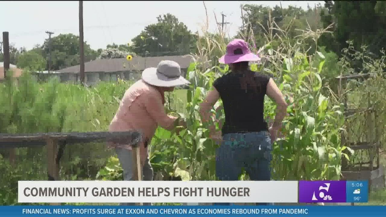 Killeen Community Garden helps fight hunger