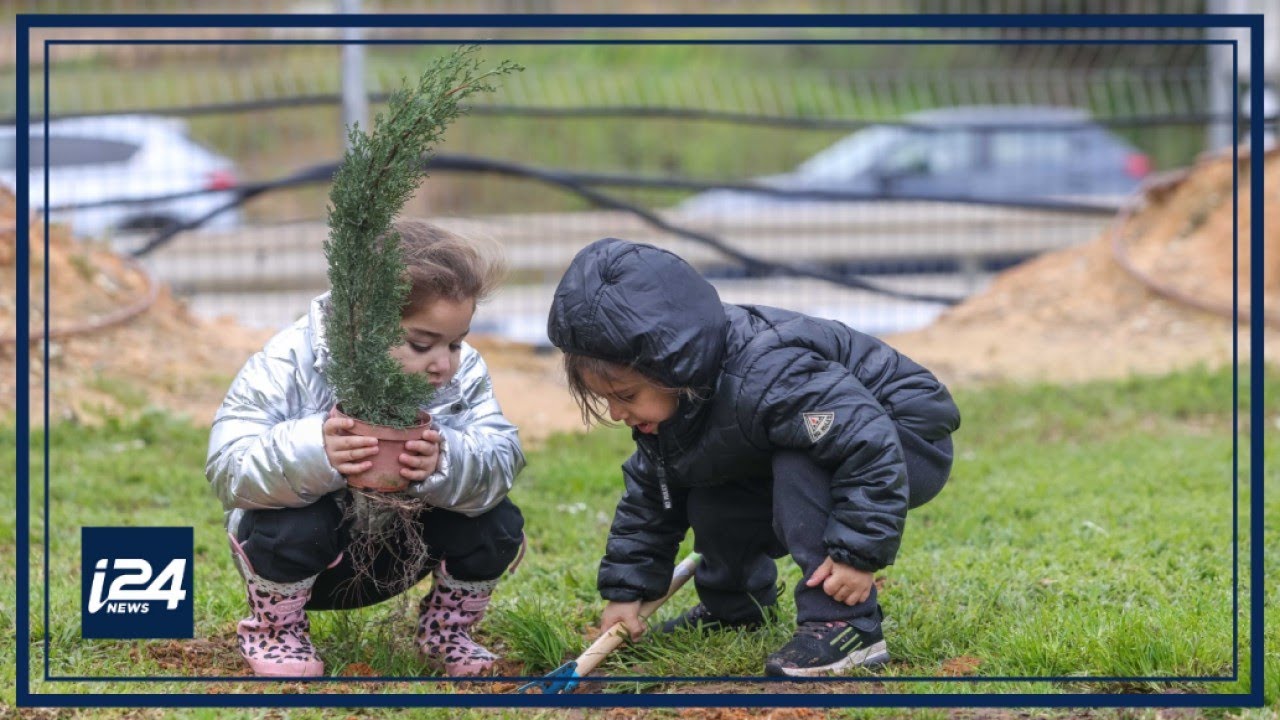 Tu B’shvat: The Jewish ‘New Year for trees’
