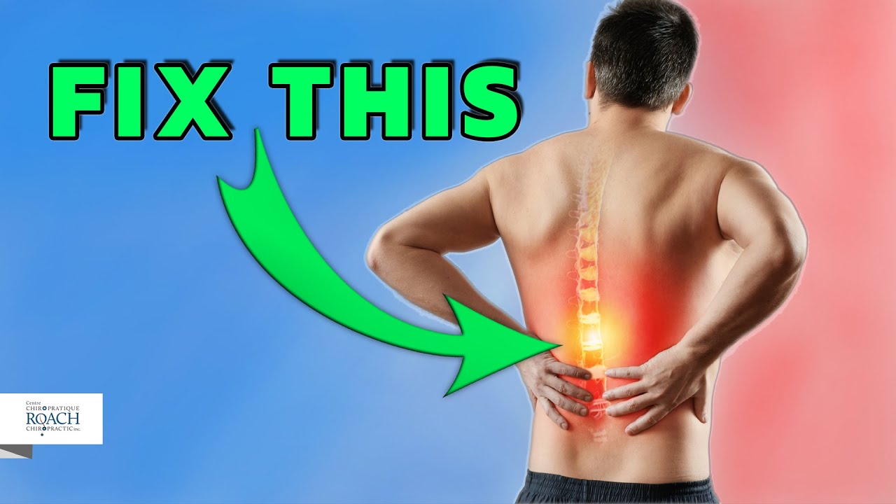 Sciatica Pain Exercises / 5 Home Stretches You Must TRY
