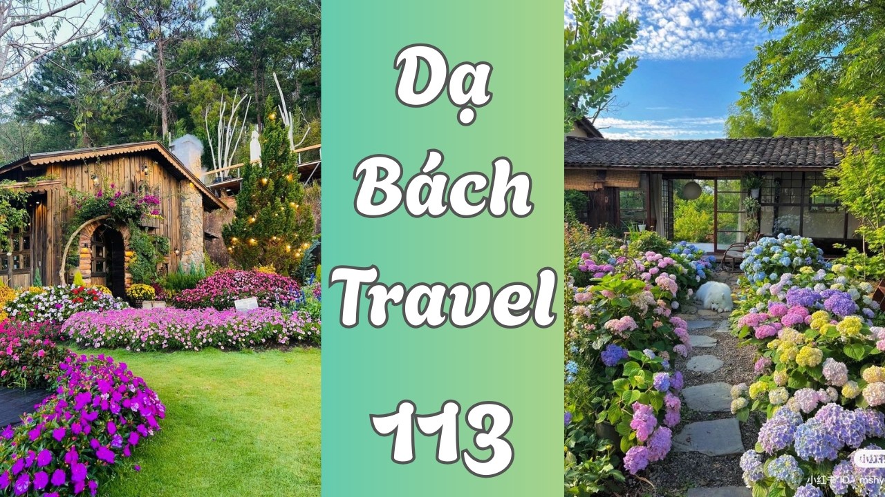 Dạ Bách Travel Số 113 - Đà Lạt