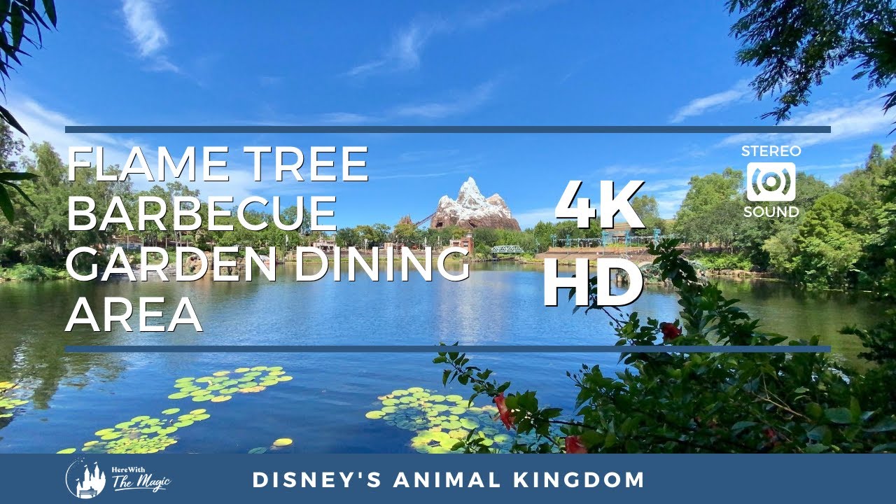 Animal Kingdom's Dining Gardens of Flame Tree Barbecue (4K HD) 1 HOUR LOOP