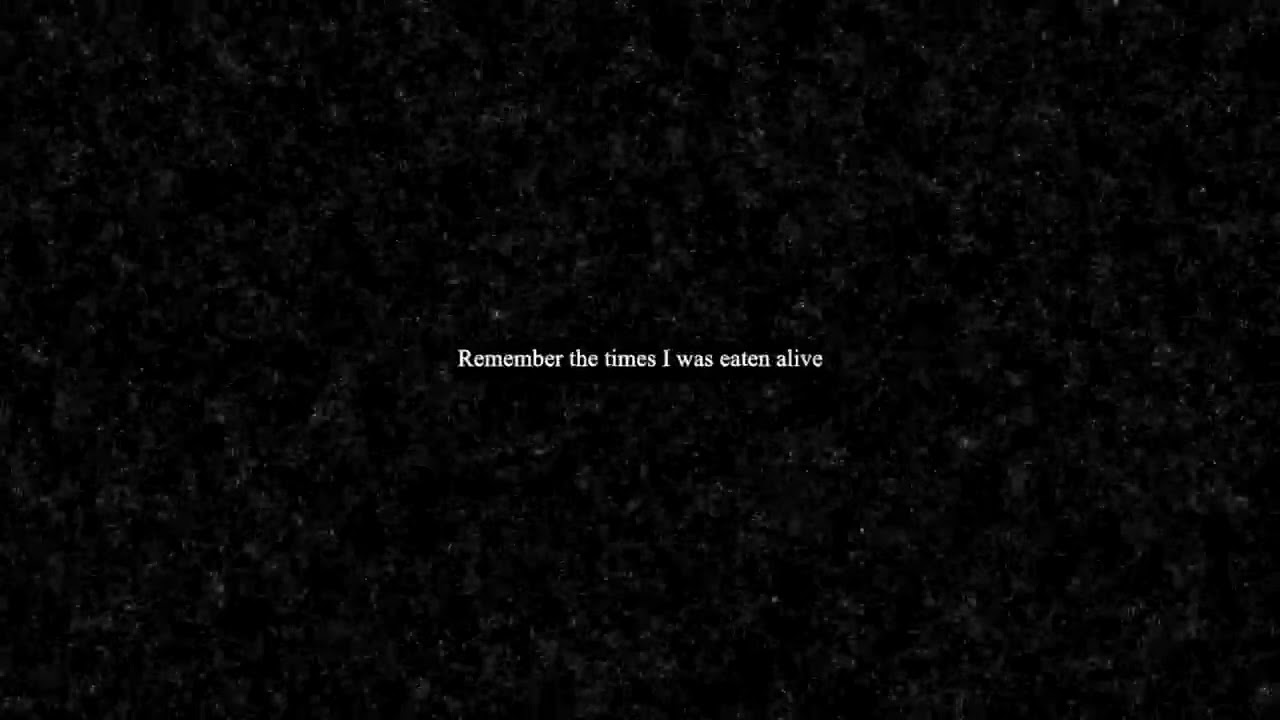 scarlxrd - SXLD MY SXUL. [LYRIC VIDEO]