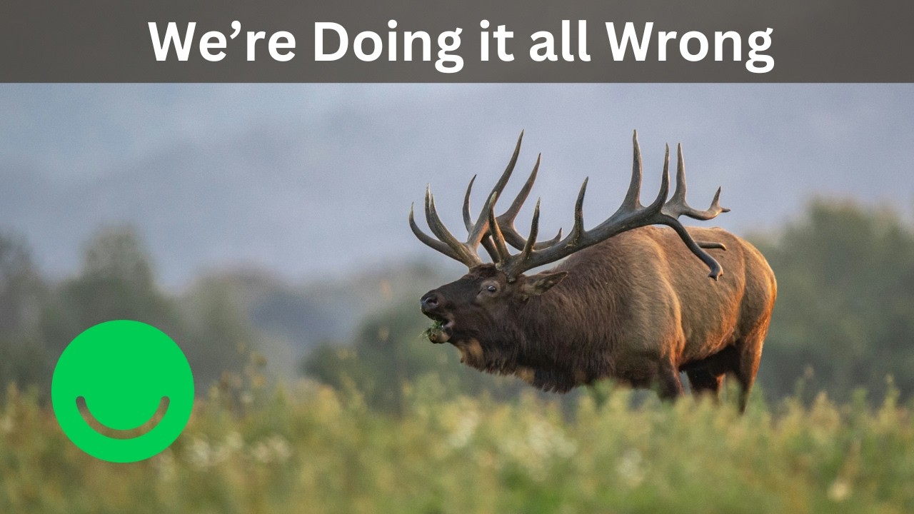 We've Been Doing Conservation Wrong (Here's What Actually Works)