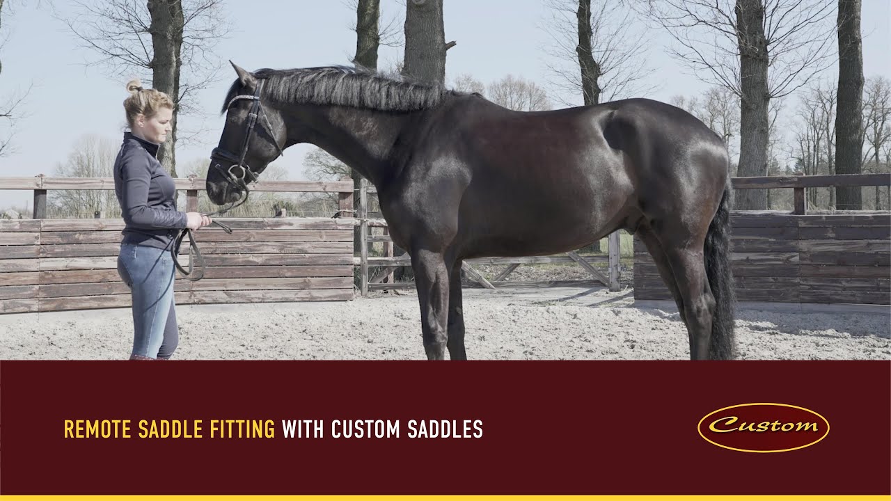 Remote Saddle Fitting by Custom Saddles
