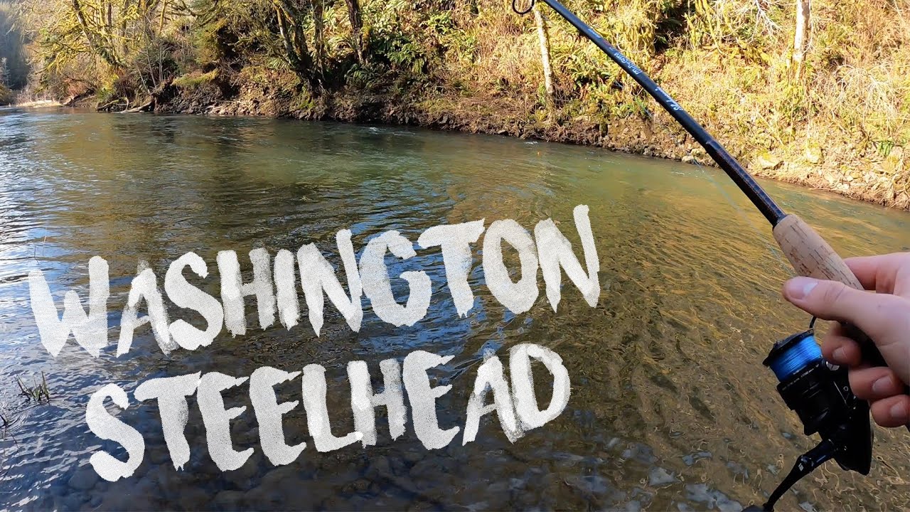Washington Steelhead Fishing - The Final Attempt