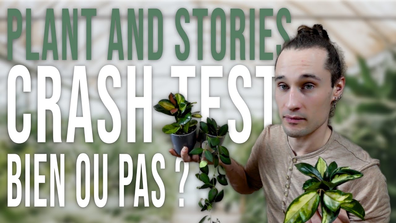 CRASH TEST: PLANT AND STORIES - Ça vaut le coup ?
