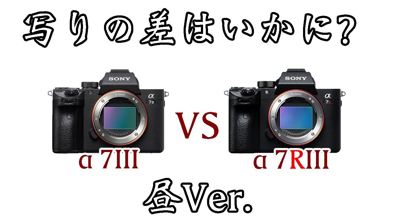 注目のミラーレス機、α7IIIとα7RIIIの解像感を比較してみたよっ！【 SONY機 検証】