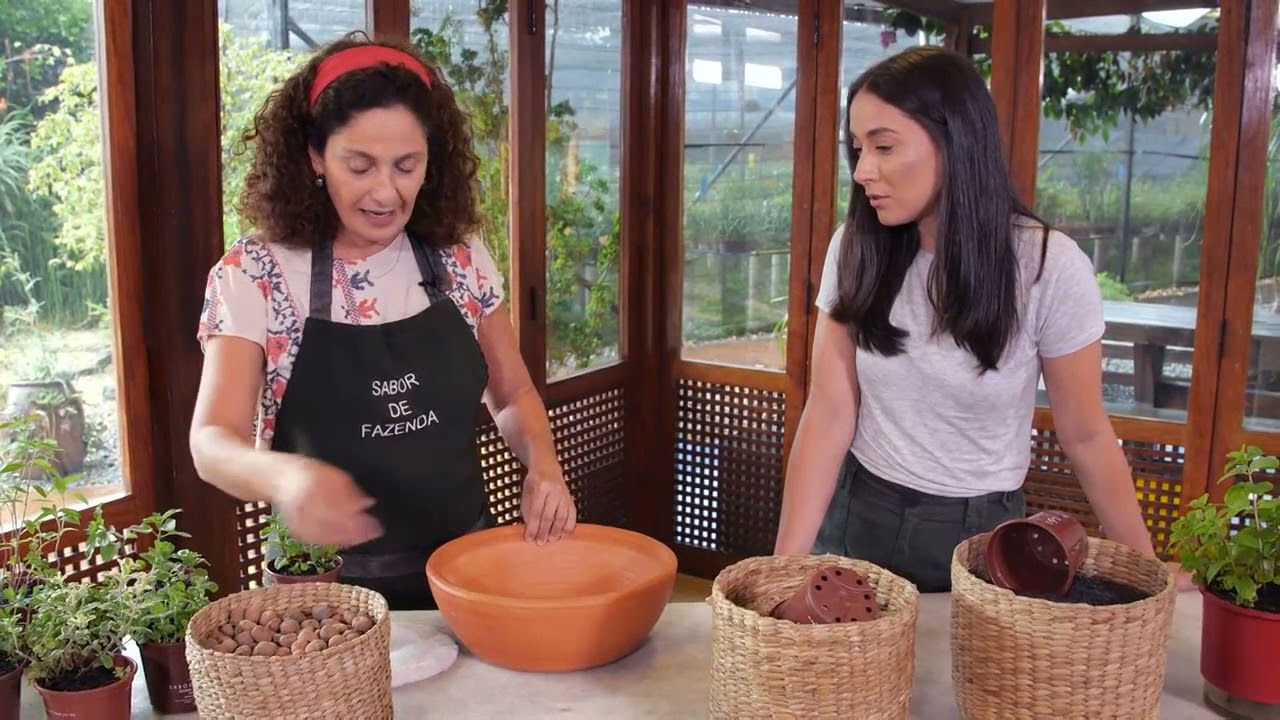 Como plantar (e cultivar) hortel&atilde;s com Silvia Jeha