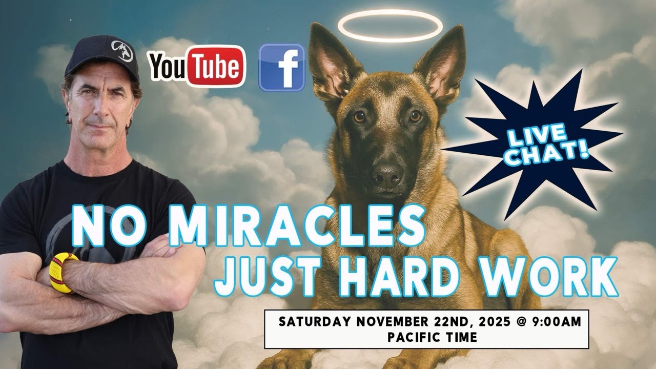 No Miracles in Dog Training - Just Hard Work