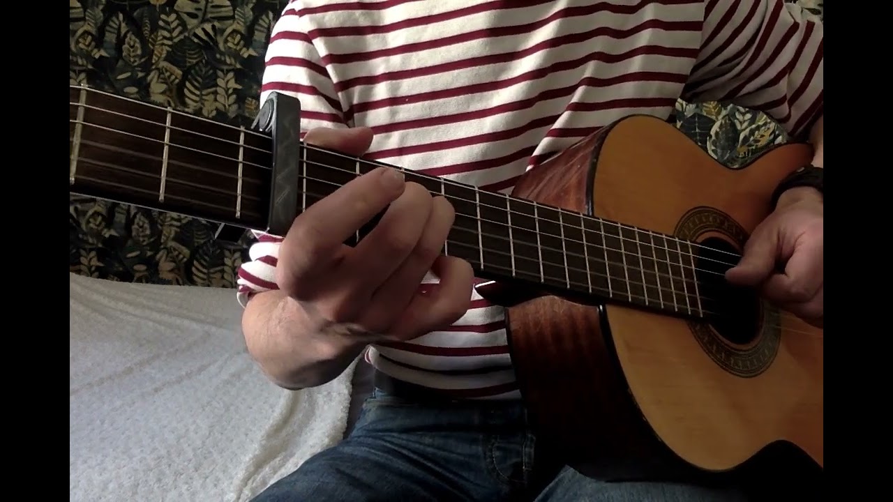 Totoro ( Path of Wind ) guitar cover