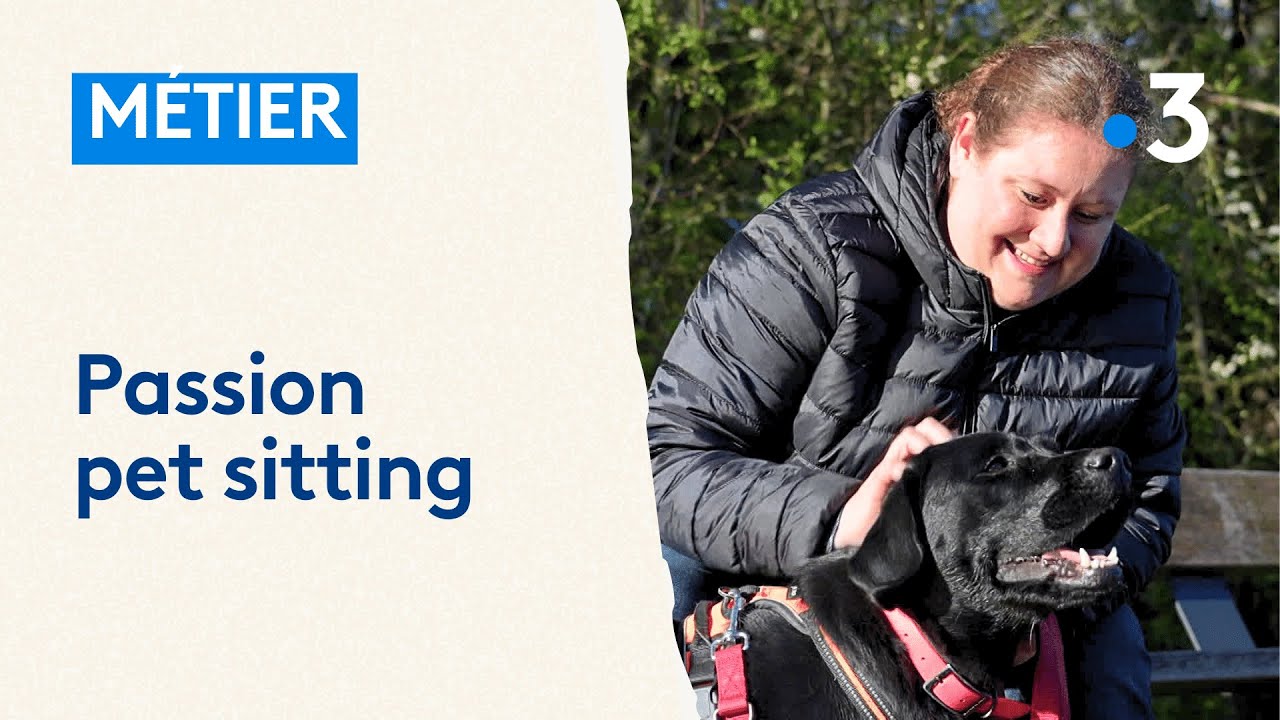 Une journée avec une pet sitter