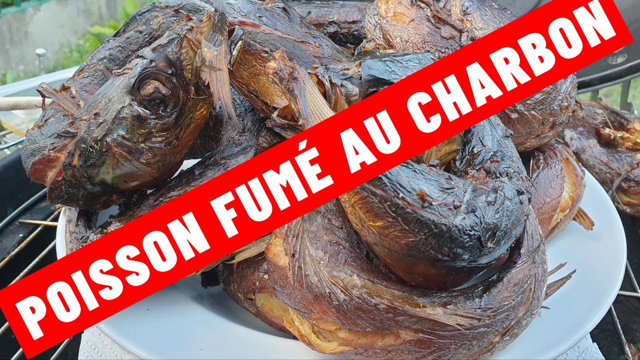 COMMENT FUMER SON POISSON AU CHARBON ET AUX COPEAUX DE BOIS