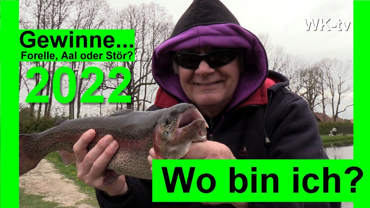 Turbos Angelteiche - Forelle, Wels oder St&ouml;r. Gewinne einen Tag mit mir. Was angeln wir? 2022