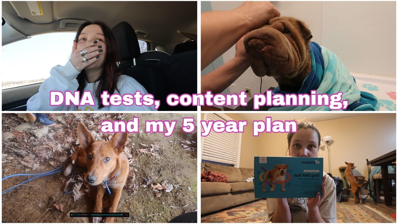 A week in my life: content planning, Rune's DNA test, and my 5 year plan