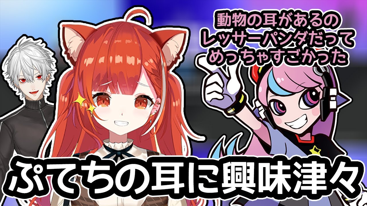 【Selly/切り抜き】 CRカップは楽しいと言うSelly