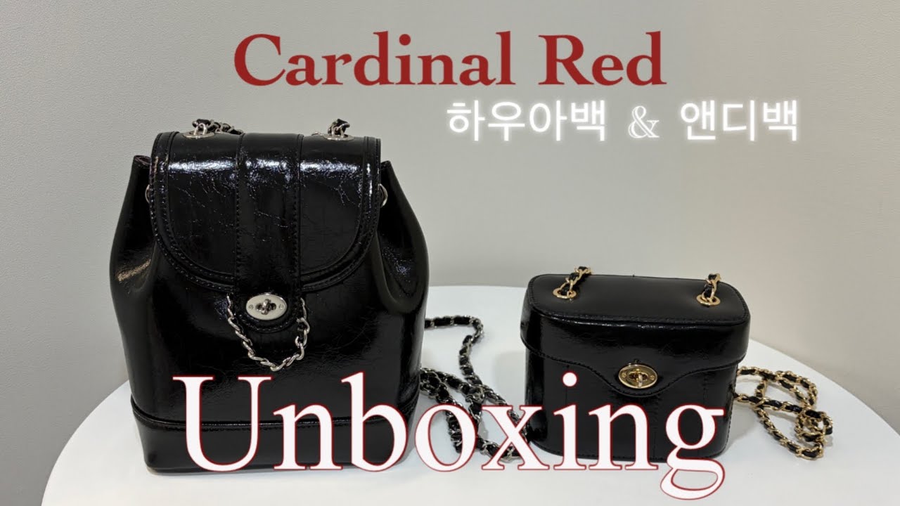 [unboxing] 카디널레드 하우아백 언박싱 👜 앤디백이랑 비교샷 ✨ 4계절 꾸안꾸 체인백 추천 യ
