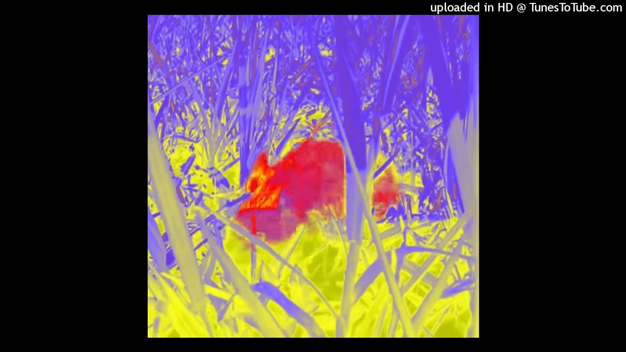 𝖋𝖗𝖊𝖊 axxturel/4jay x luci4 Type Beat 